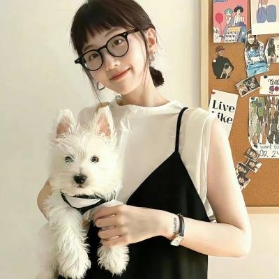 庙街故事海报