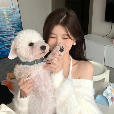 犬夜叉海报